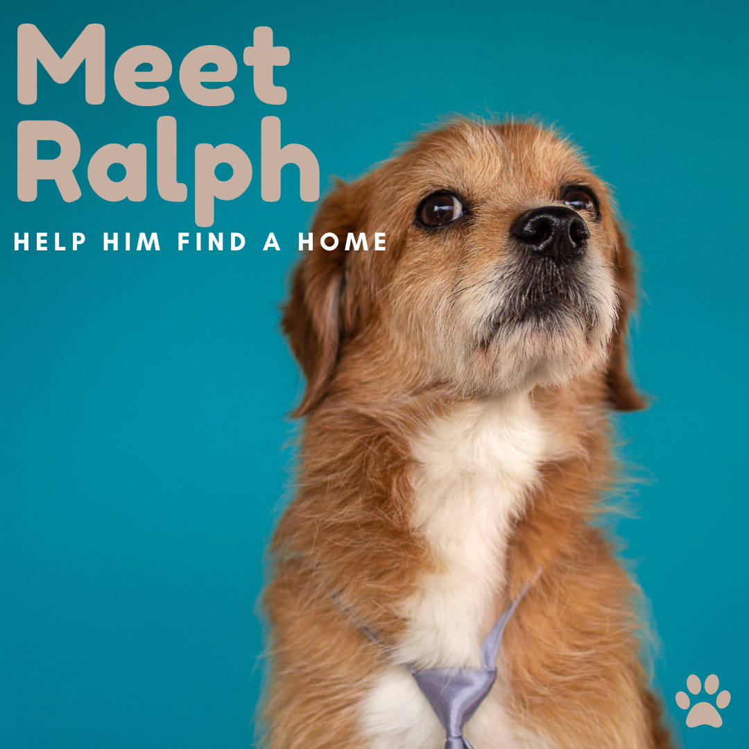 two people sitting on a ledge talking